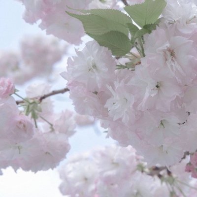 科尔沁左翼中旗FurryQQ群